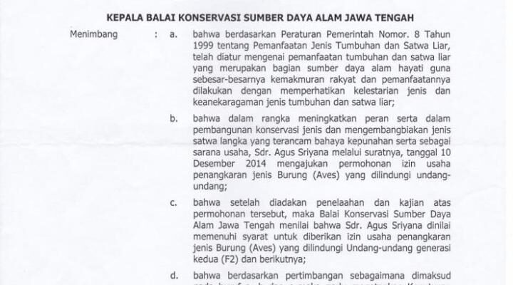 izin-usaha-penangkaran-burung-dilindungi-undang-undang-7075282