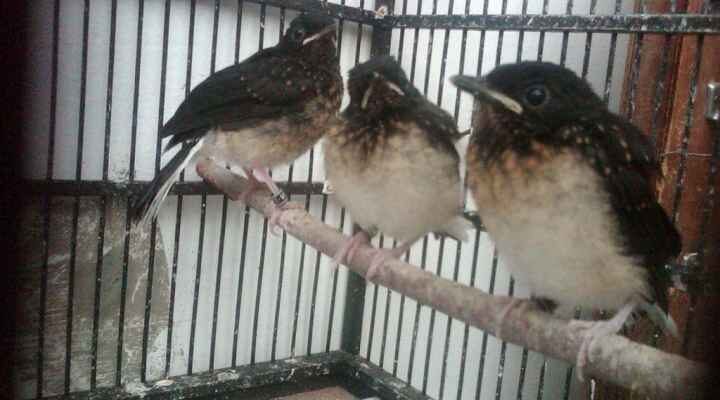 img00298-20111111-0613-3496521