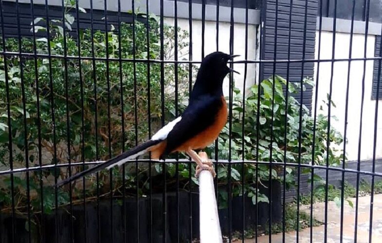 kenali-lebih-dalam-kelebihan-dan-kekurangan-suntik-putih-3556121