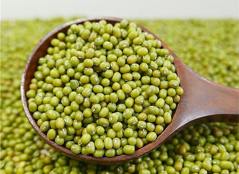 manfaat-kacang-hijau-untuk-lovebird-4221232