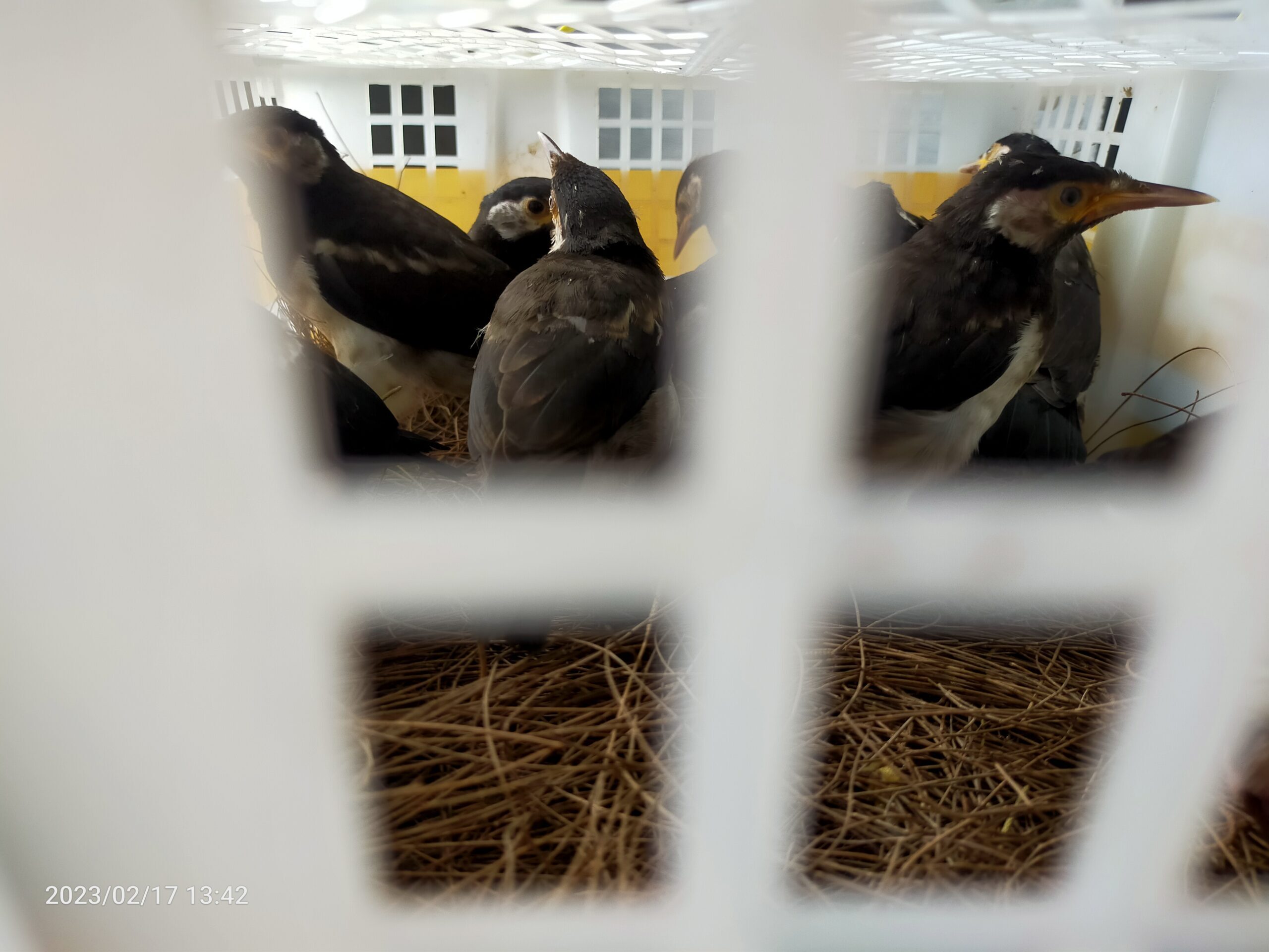 img20230217134213-scaled-3124331