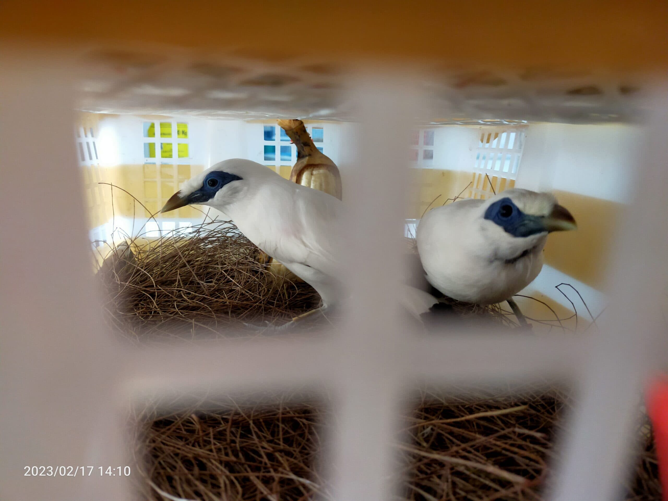 img20230217141056-scaled-1137961