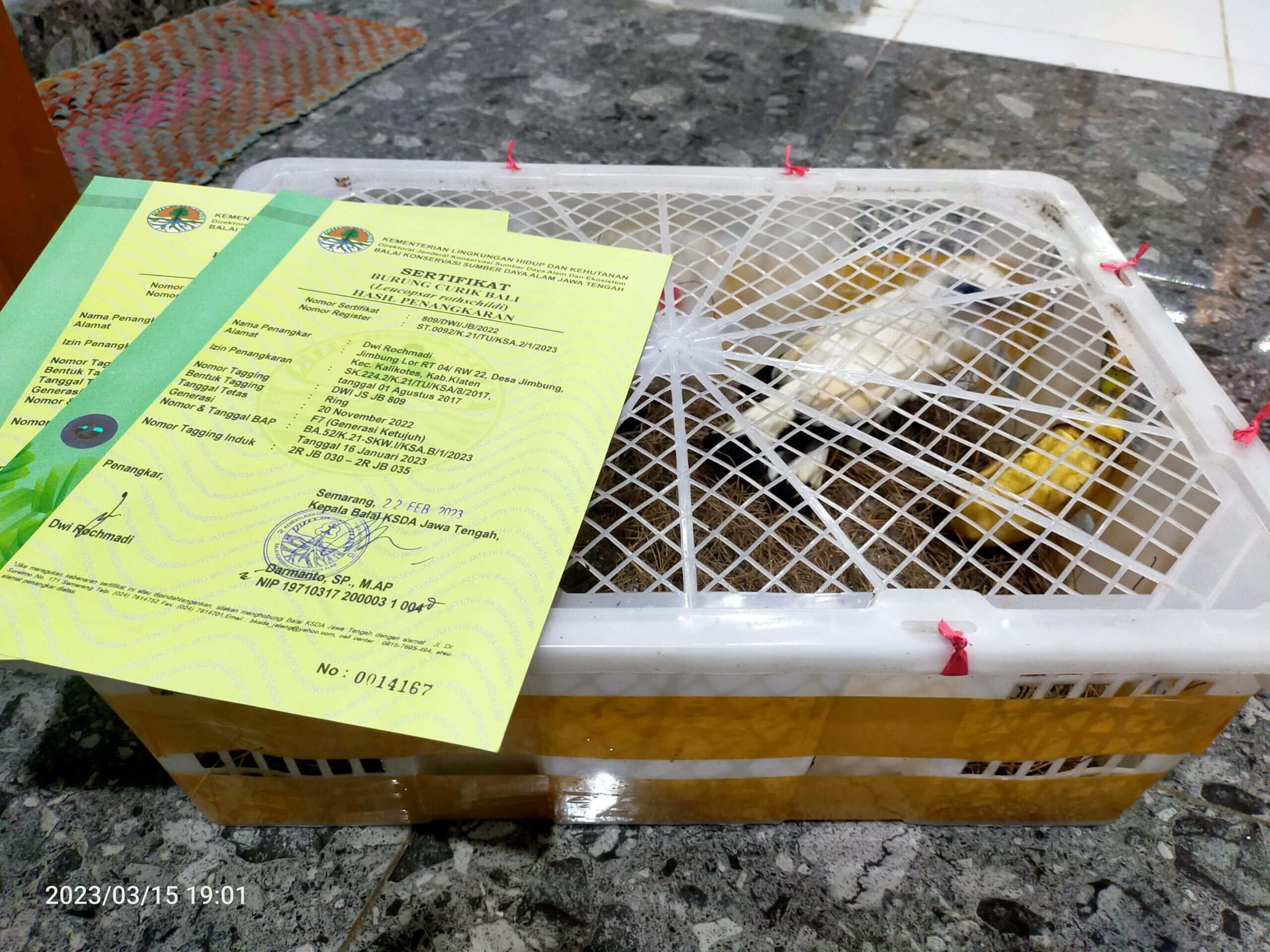 img20230315190111-scaled-1923124