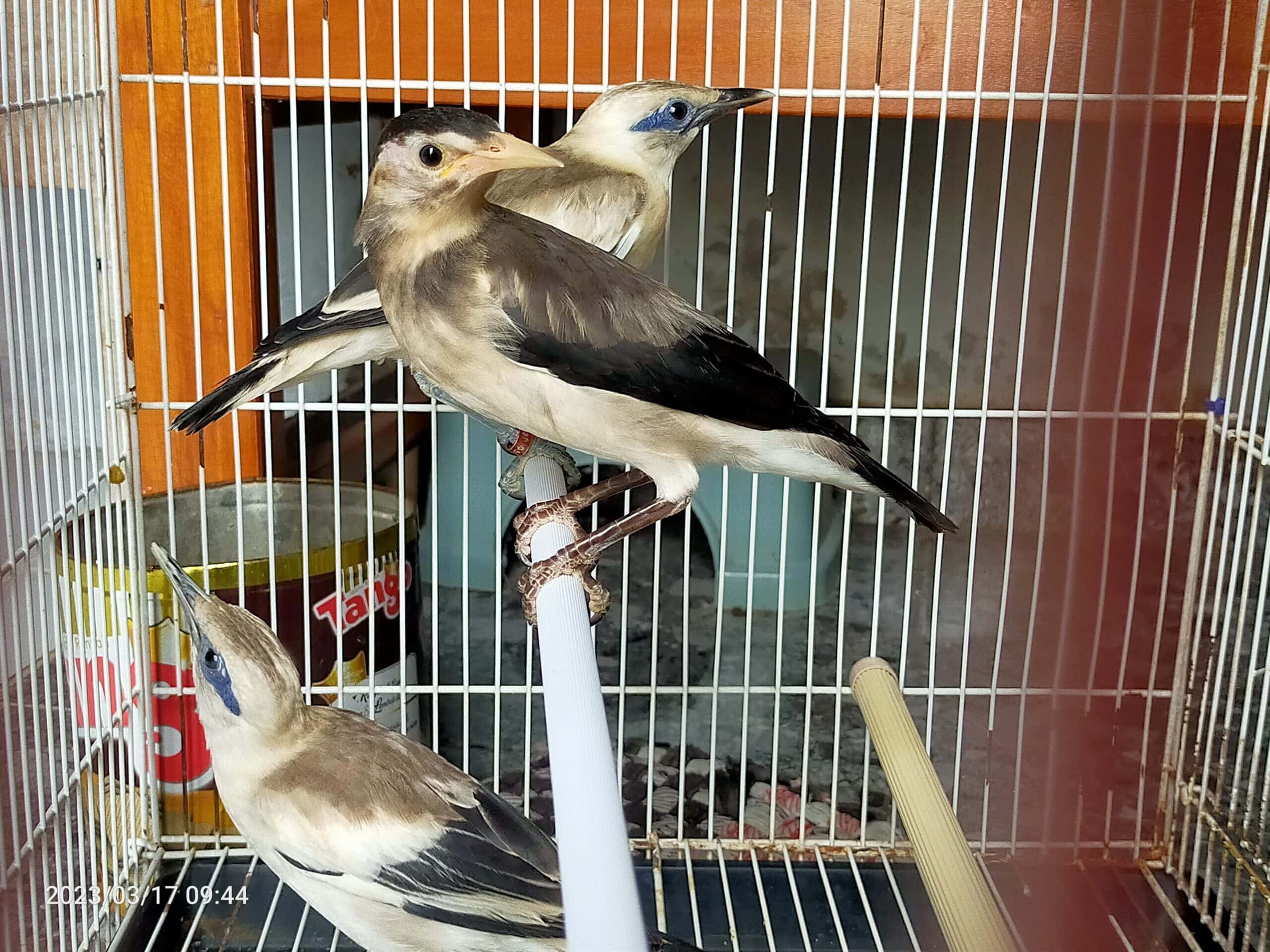 img20230317094431-scaled-2512153