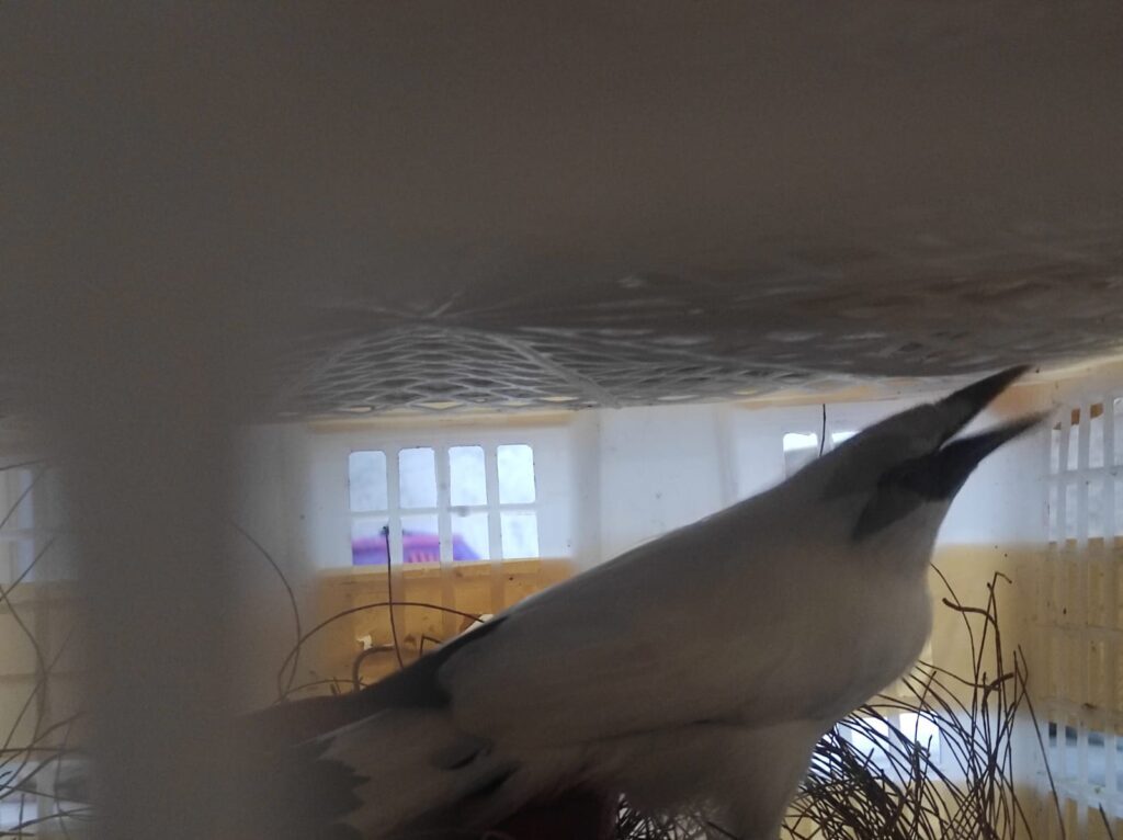 img-20230302-wa0033-1024x766-7323176