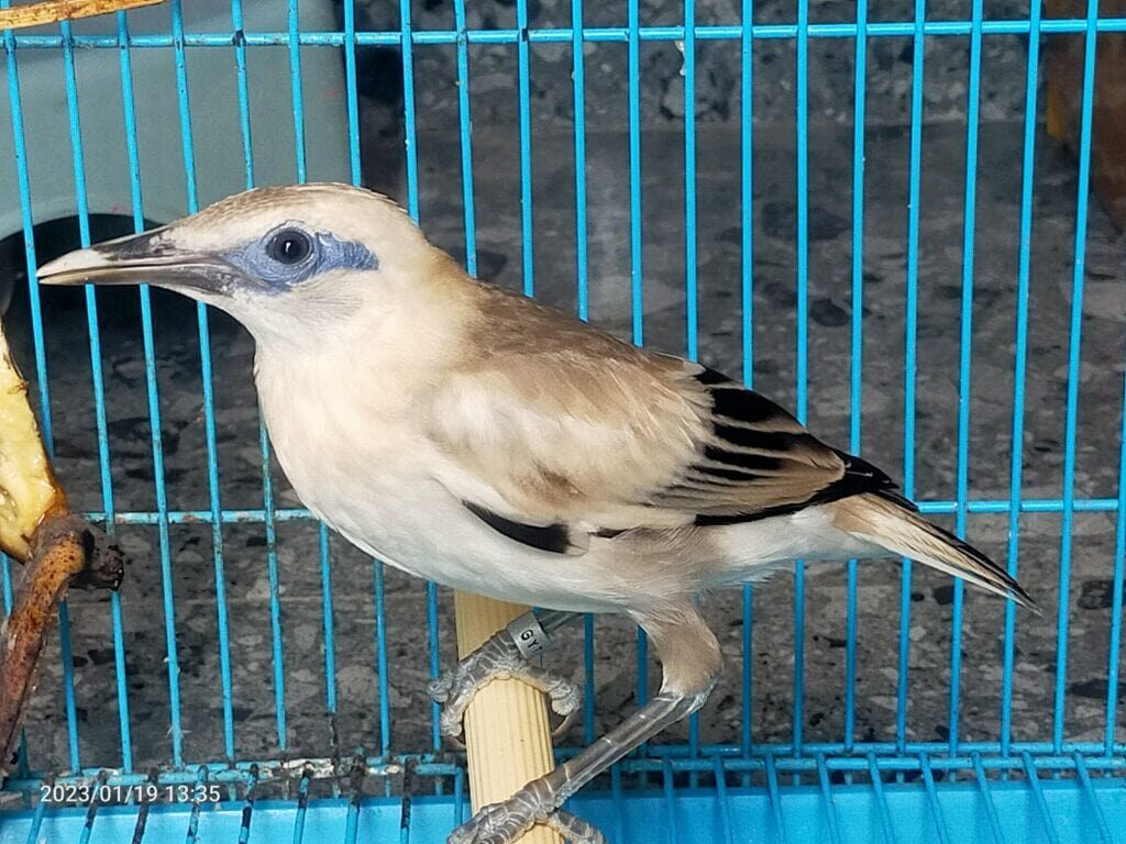 img20230119133537-1024x768-1897789