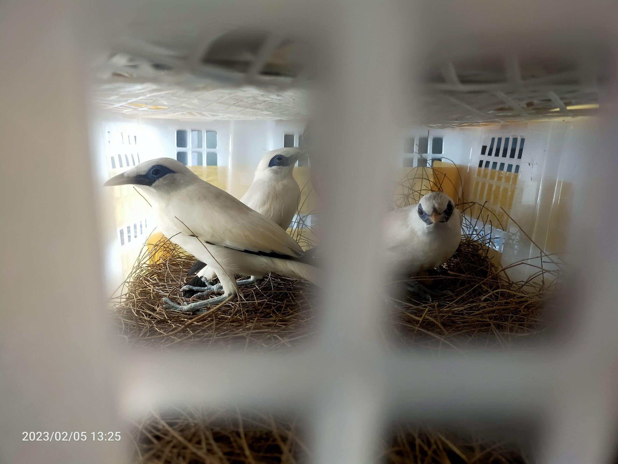 img20230205132547-scaled-4372212