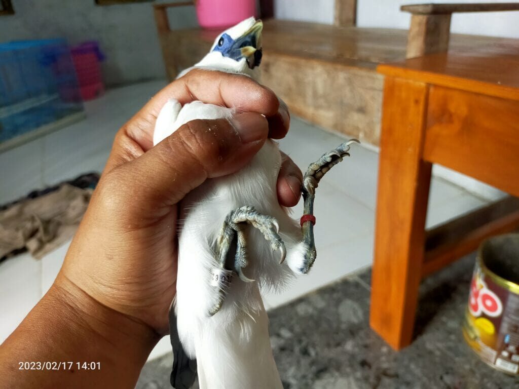 img20230217140102-1024x768-5446248