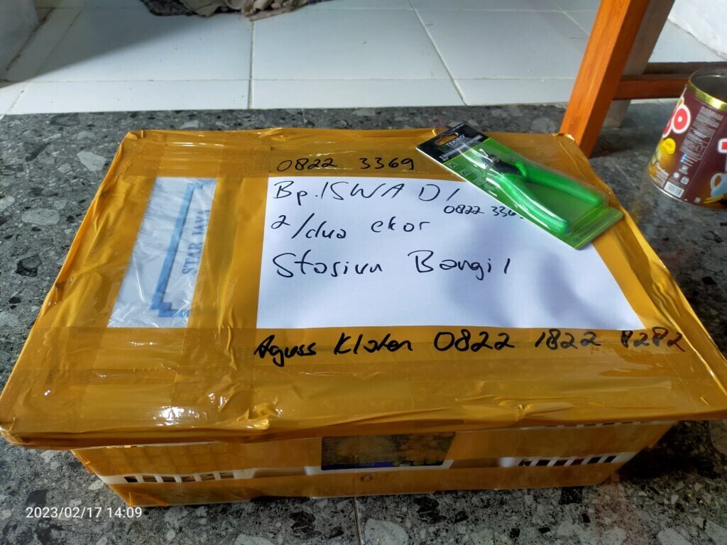 img20230217140901-1024x768-6705862