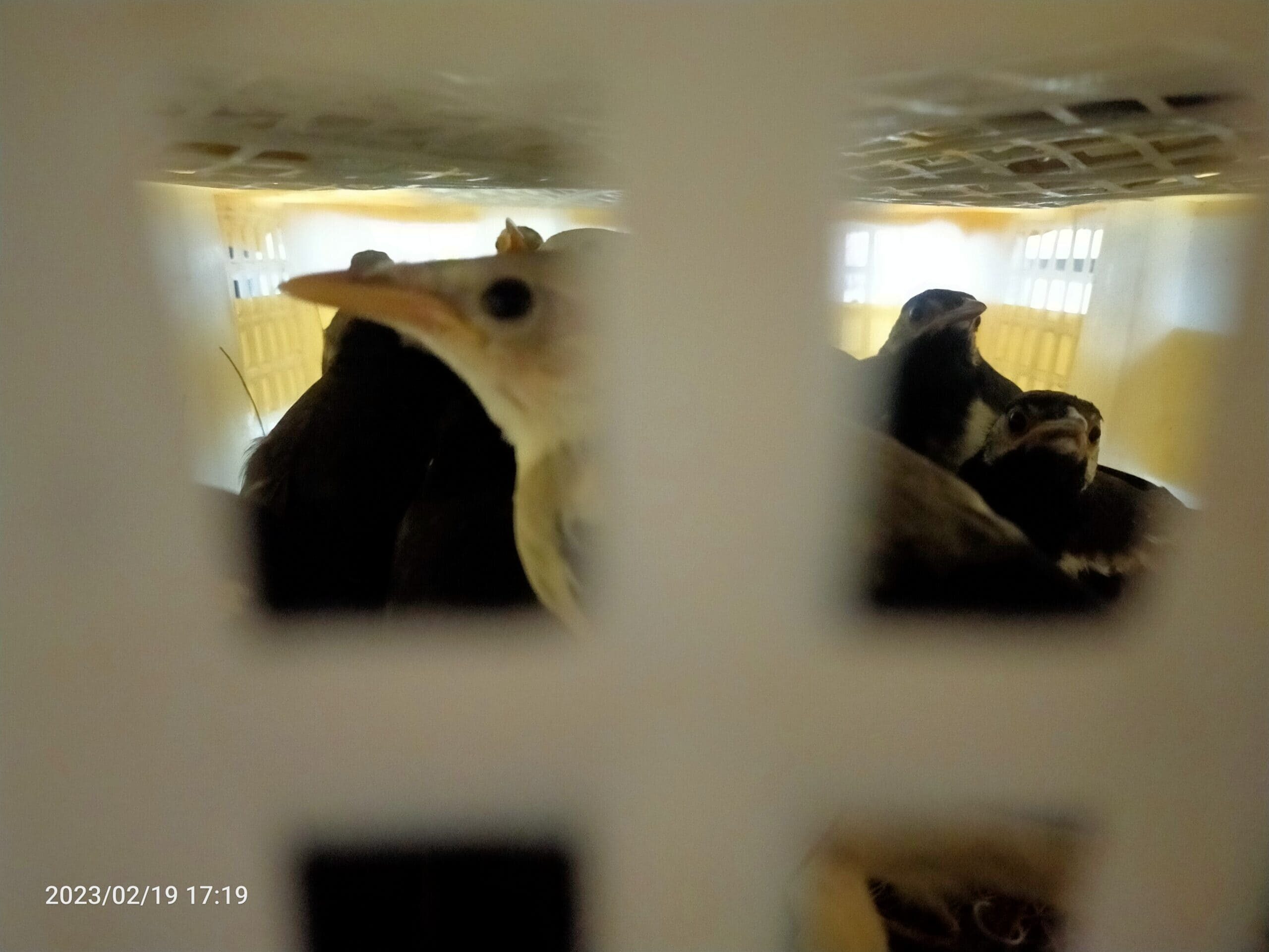 img20230219171909-scaled-6092082