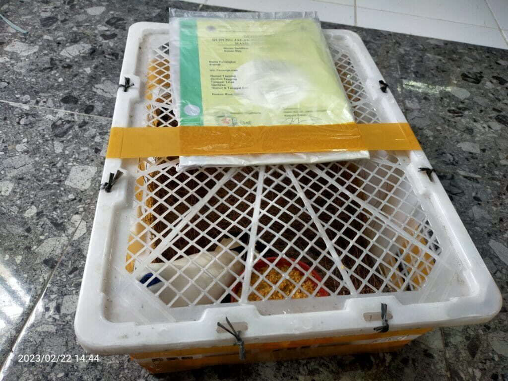 img20230222144451-1024x768-7089535