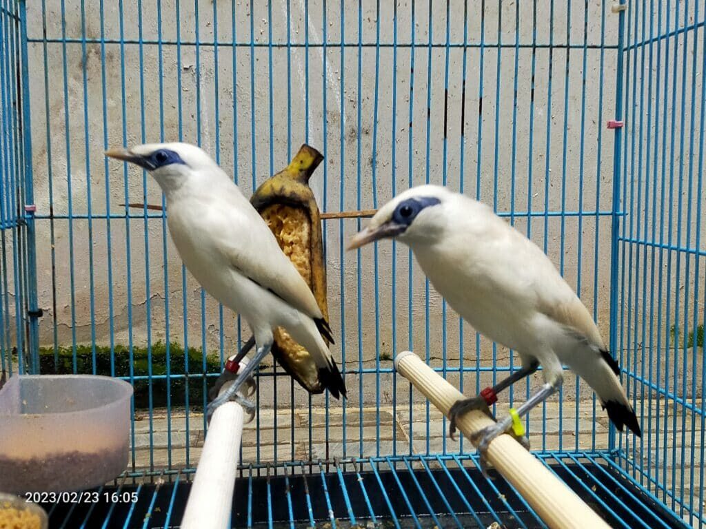 img20230223160547-1024x768-7920447