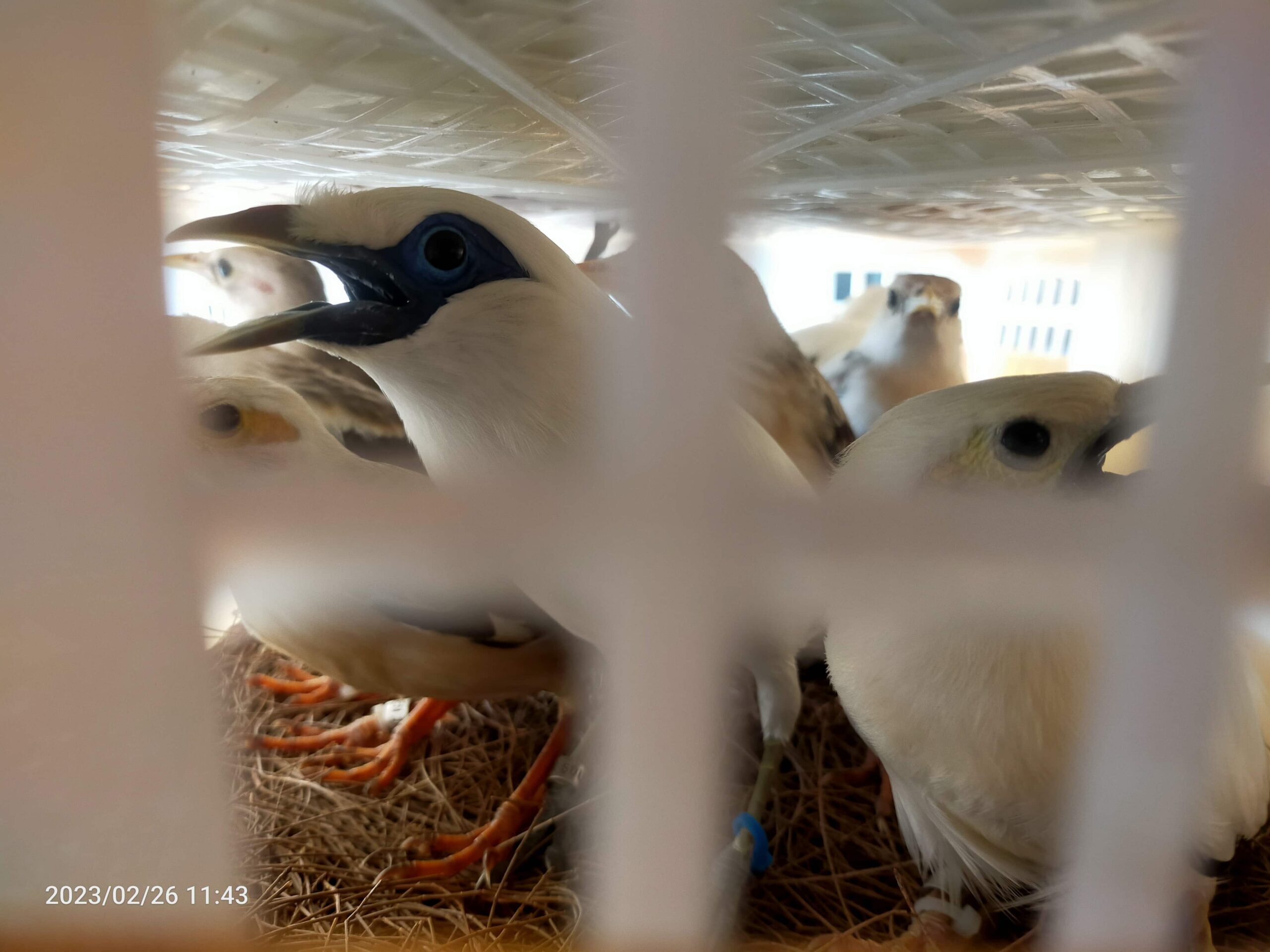 img20230226114308-4823587