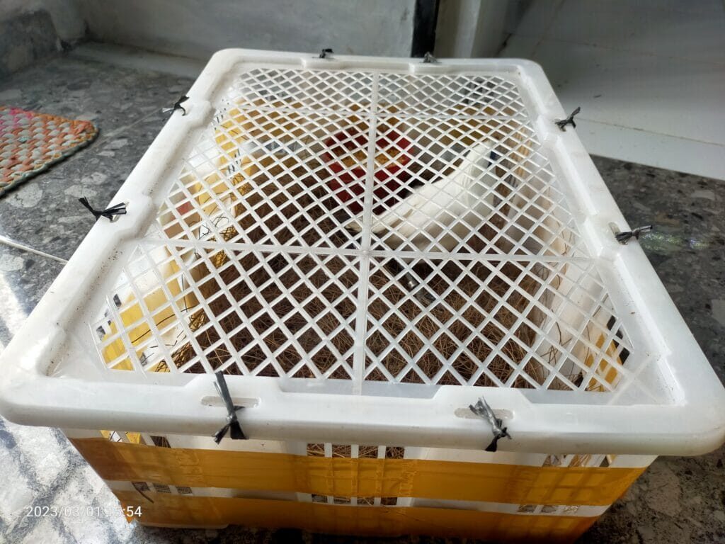 img20230301155421-1024x768-4993925