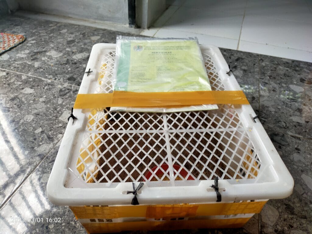 img20230301160221-1024x768-8208223