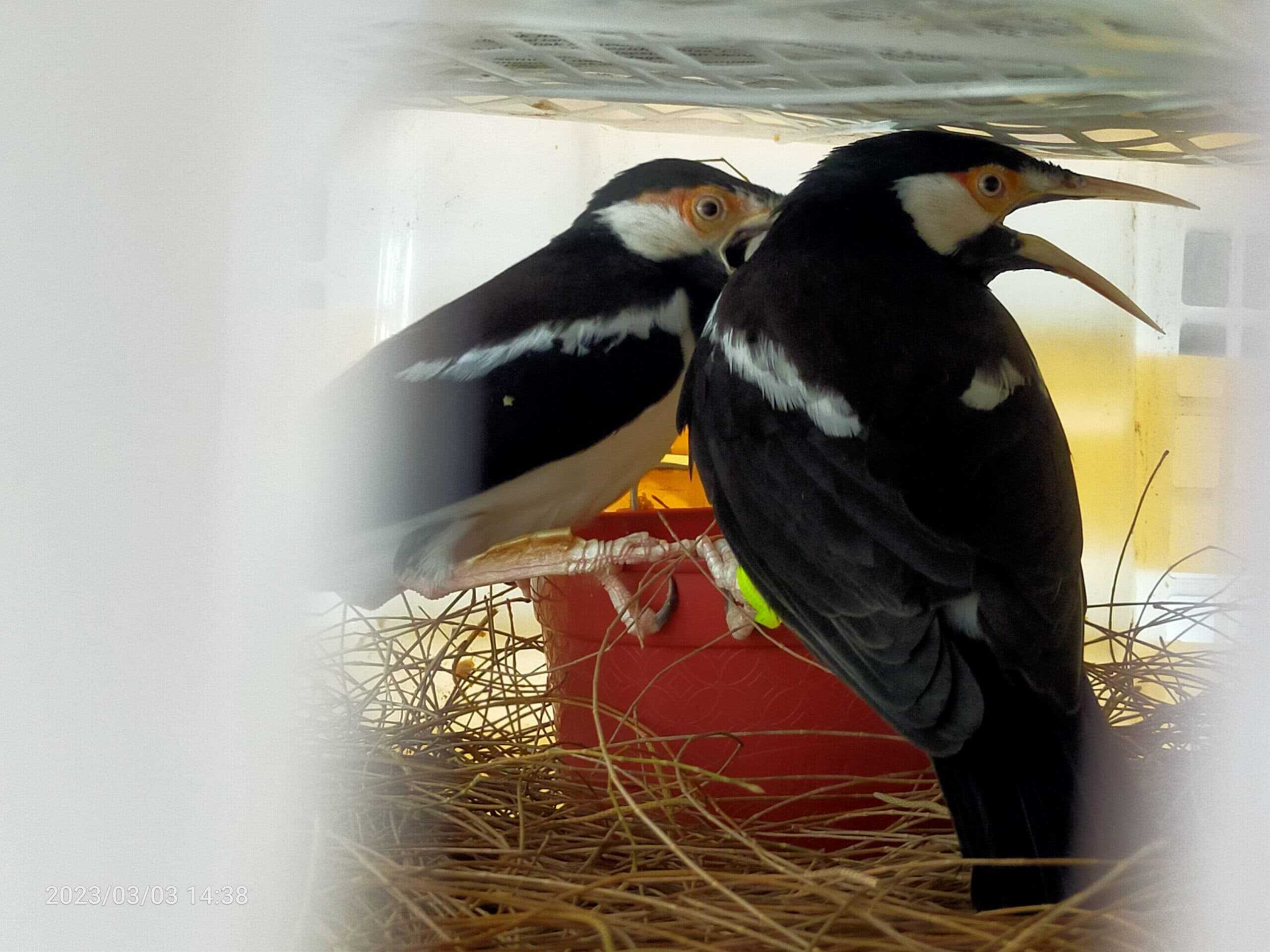 img20230303143835-scaled-7505084