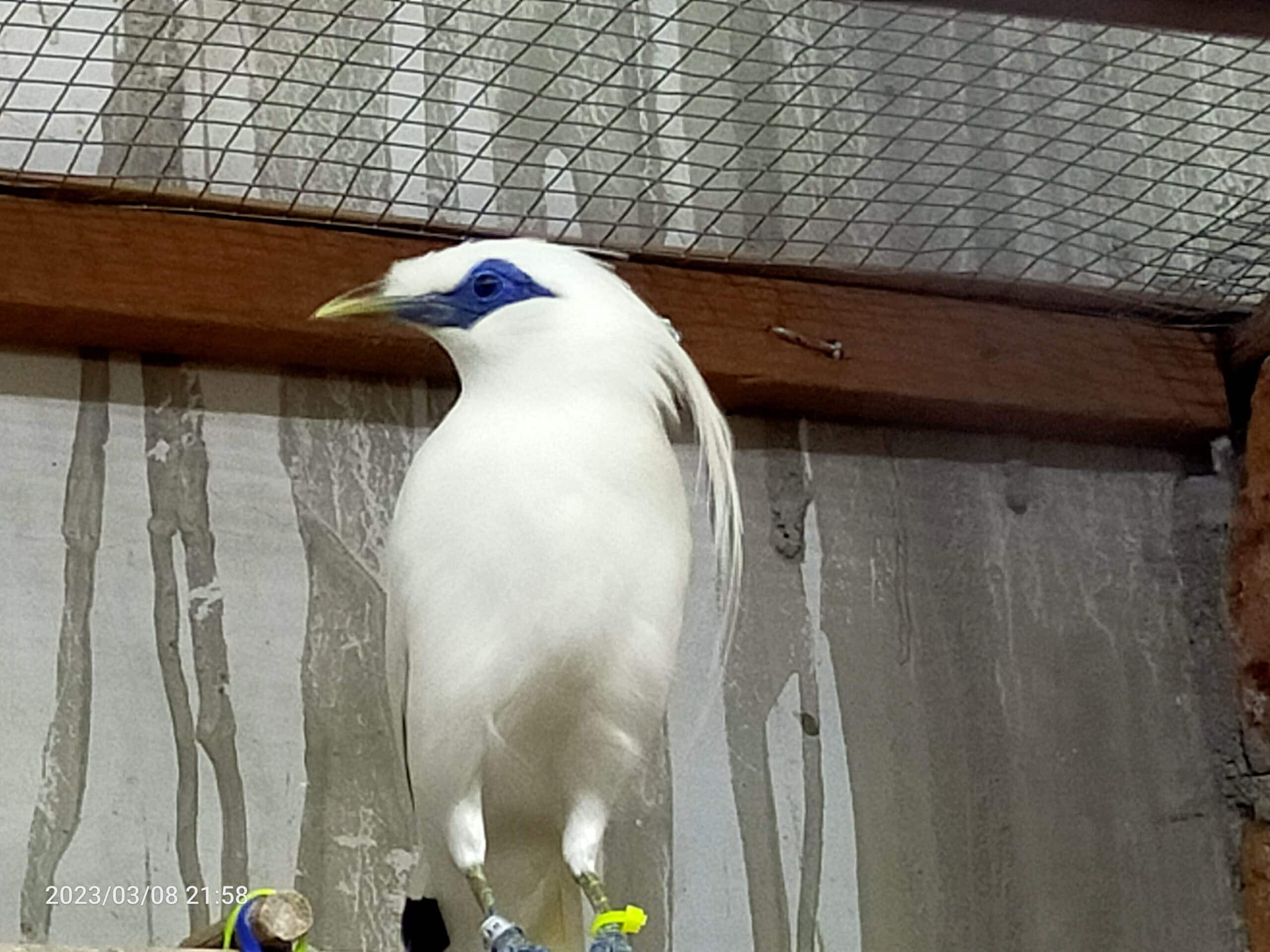 img20230308215802-scaled-5197730