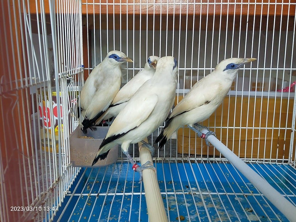 img20230310134717-1024x768-9701969