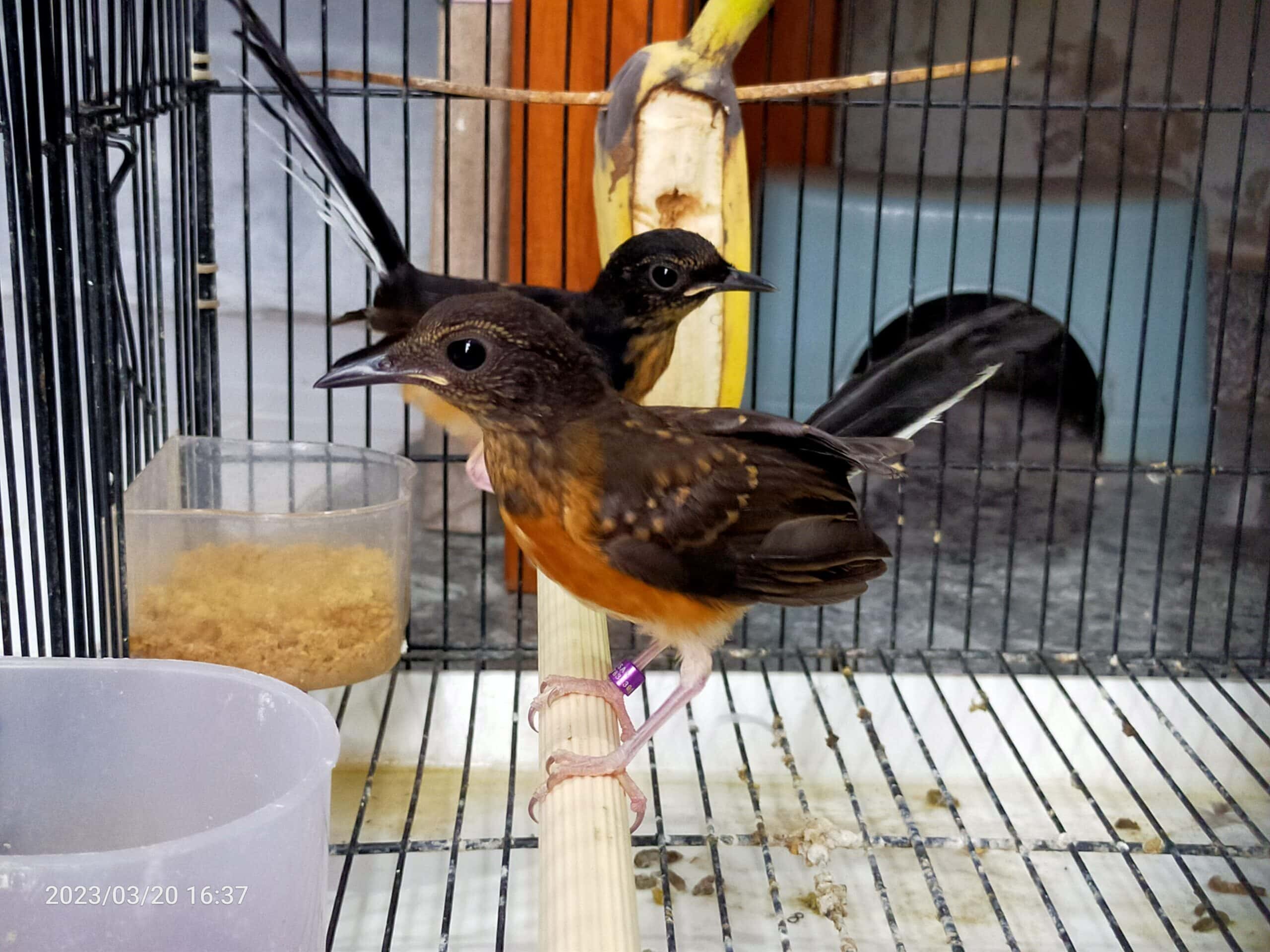 img20230320163720-scaled-2142020