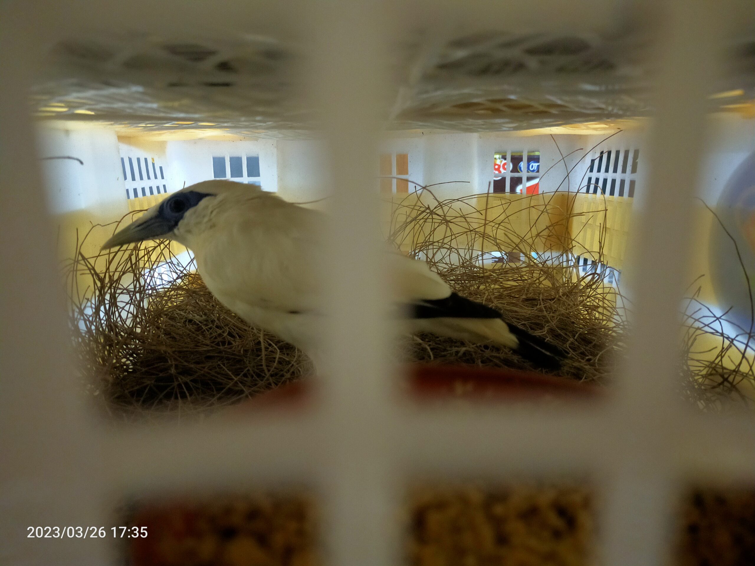 img20230326173505-scaled-7845224