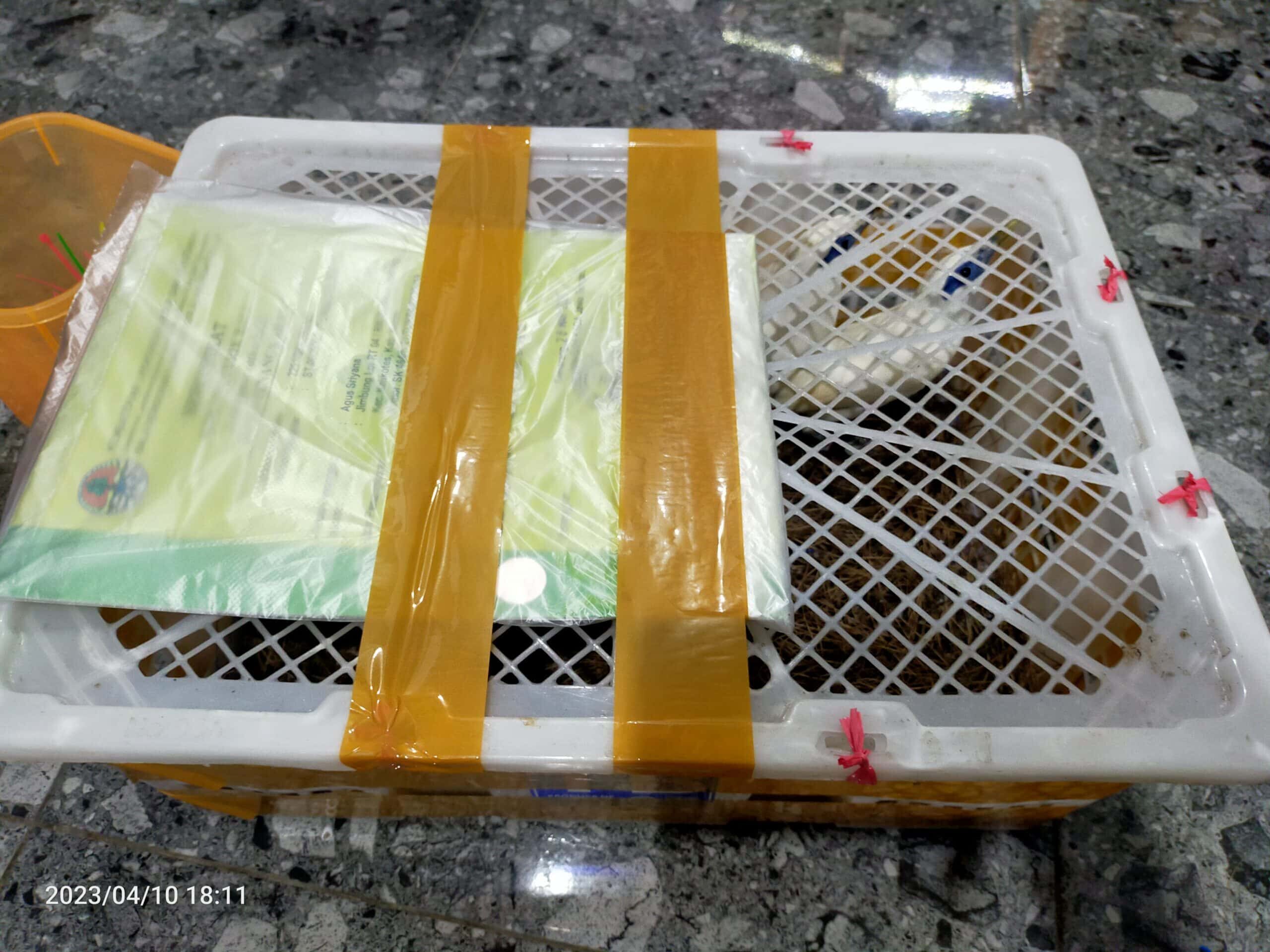 img20230410181113-scaled-1597469