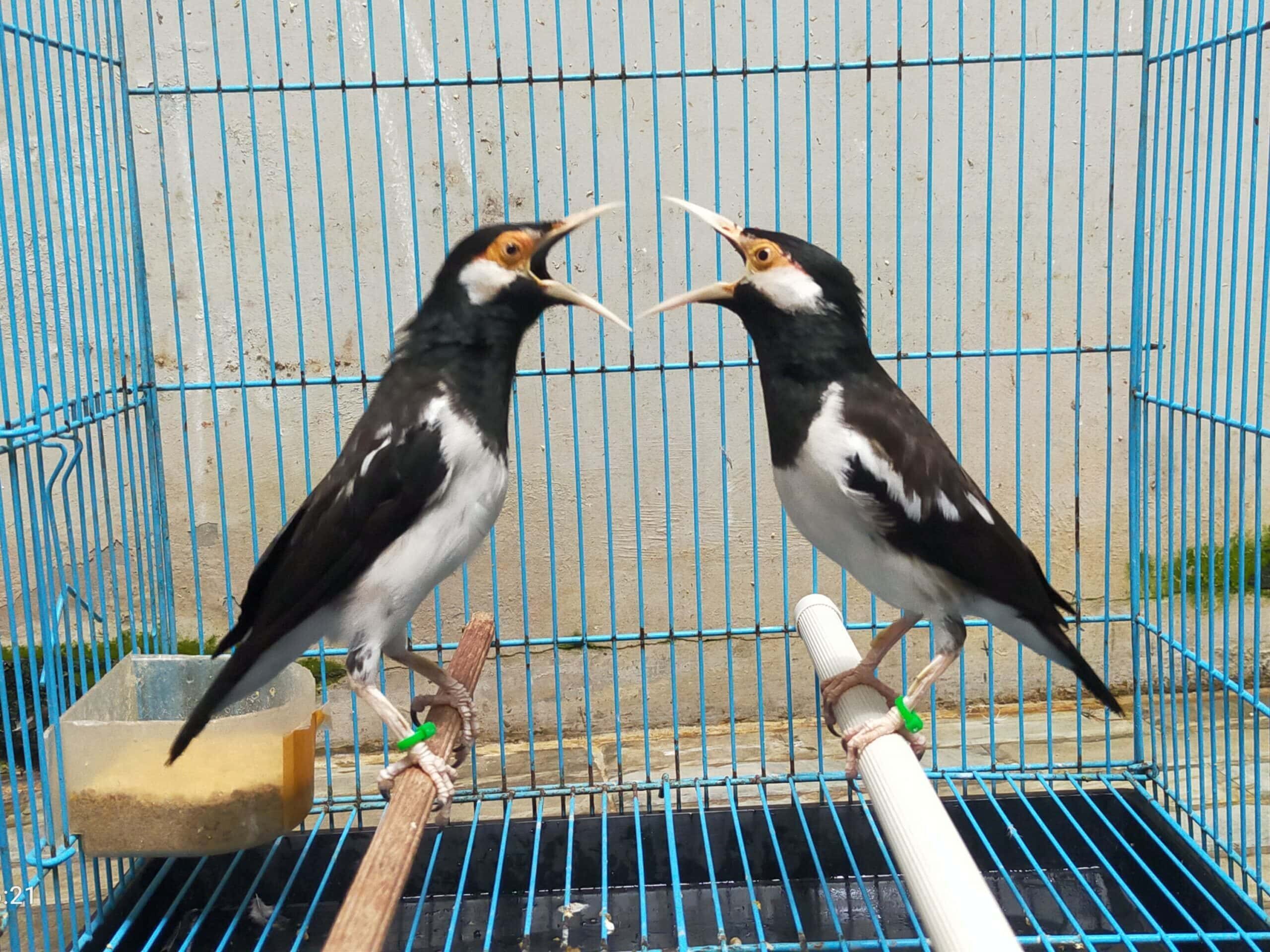 img_20230404_040937-scaled-4-8640425