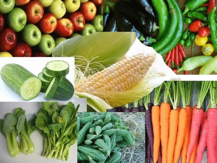 makanan-tambahan-kenari-merah-7873026