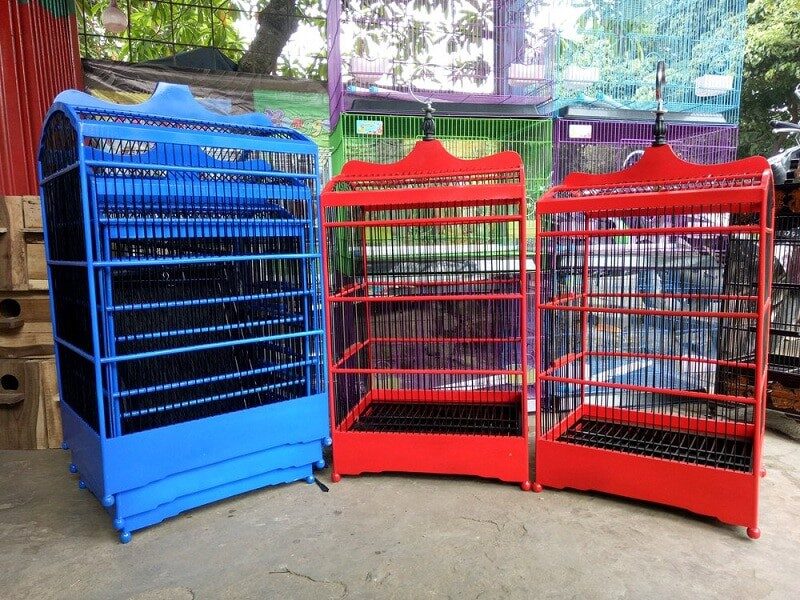 mengecat-sangkar-burung-warna-warni-2755882